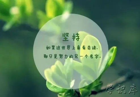 人生感悟的句子(句句真理)
