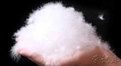 白鸭绒和灰鸭绒哪种好，关于灰鸭绒和白鸭绒的区别
