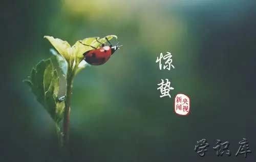 惊蛰是几月几号