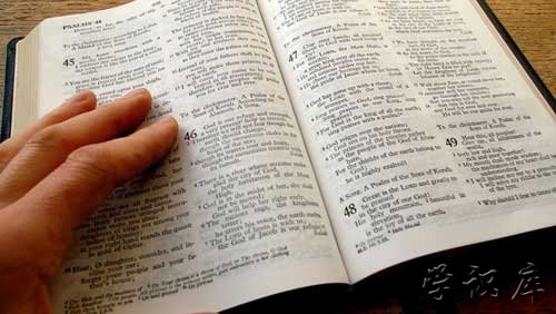 语义错误指的是什么 语义错误的含义