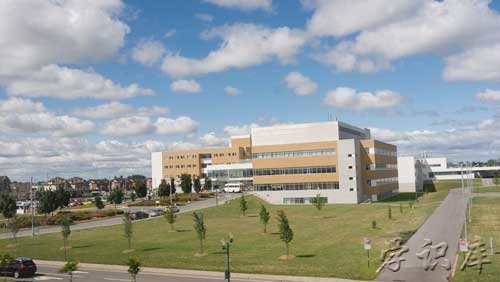 武汉的大学排名有哪些(武汉大学排名名单)