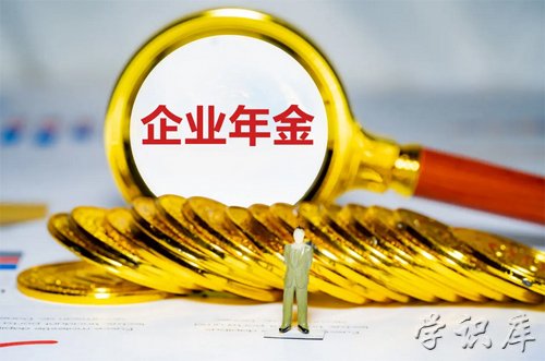 企业年金指的是什么(企业年金的通俗解释)