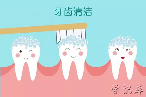 洗牙多少钱一次(洗牙能报医保吗)