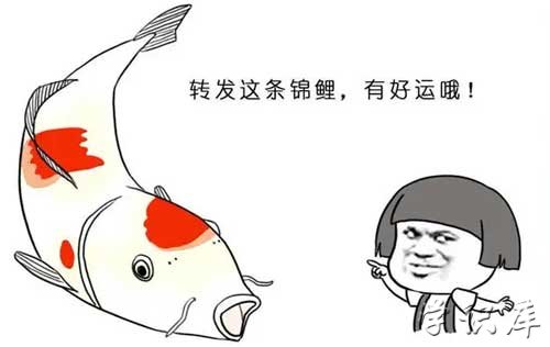 求锦鲤是什么意思，解释求锦鲤的含义