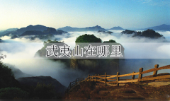 武夷山在哪里(武夷山的地理位置)