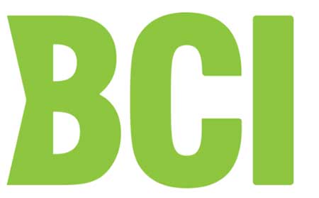 bci是什么意思，bci的含义