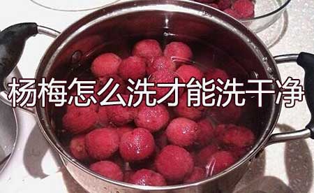 杨梅怎么洗比较干净，5种清洗杨梅干净的方法