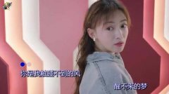 你是我触碰不到的风醒不来的梦