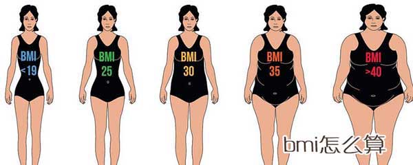 bmi是什么意思，bmi指数男女标准