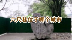 六尺巷位于哪个城市(六尺巷在哪里)