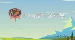 bbq是什么意思(bbq的中文含义)