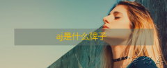 aj是什么牌子(aj属于什么档次)