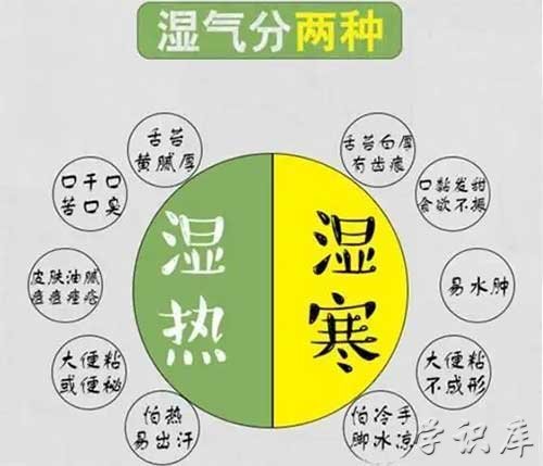 湿气重怎么排湿最有效，身体湿气重的怎么调理