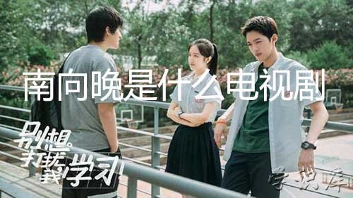 南向晚是什么电视剧