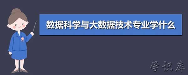 数据科学与大数据技术专业