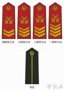 一级军士长什么级别(军士长的级别及待遇工资)