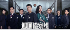 巡回检察组剧情介绍(附巡回检察组演员表)
