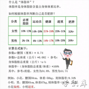 体脂率怎么计算(男女体脂率计算公式)