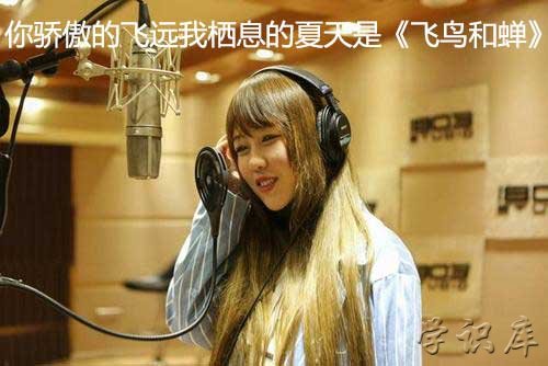 你骄傲的飞远我栖息的夏天是什么歌