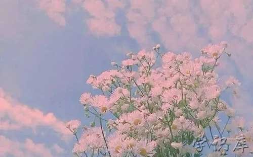 超级温柔的神仙句子，三观超正的温柔句子