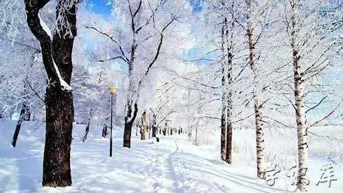 雪景感悟短句，描写雪景的唯美句子