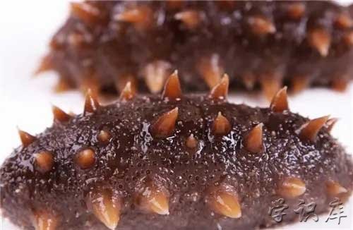 哪里买海参比较好，海参的主要产地