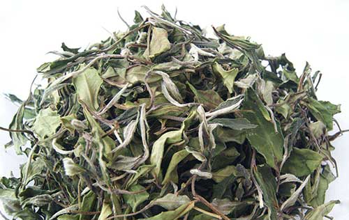 贡眉白茶是什么茶(贡眉白茶简介)