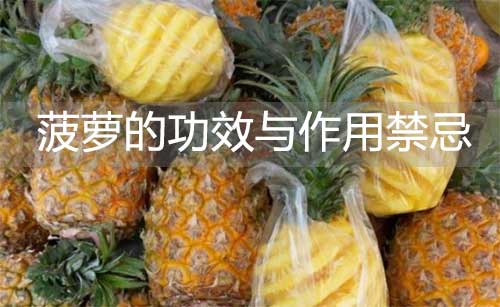 菠萝的功效与作用禁忌