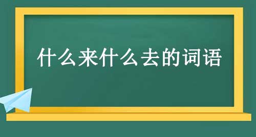 什么来什么去的词语，baca式的成语