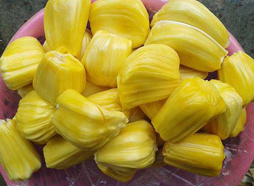 菠萝蜜是凉性还是热性