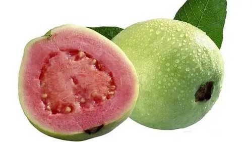 芭乐的功效与作用，吃芭乐的7个好处