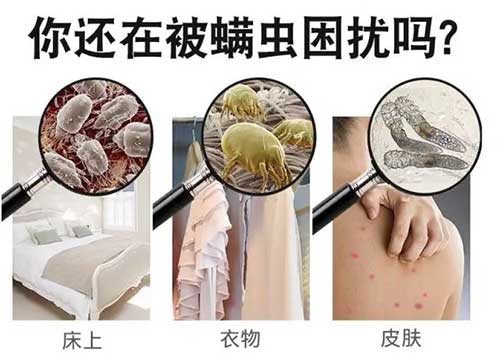 除螨方法，6个有效除螨虫的方法