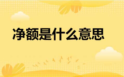 净额是什么意思，净额简介