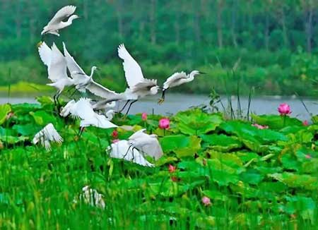 济宁旅游景点推荐，10个济宁旅游必去景点