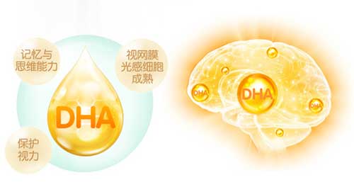 dha的作用与功效