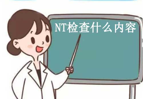 NT检查什么内容，NT简介