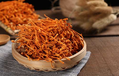 虫草花的功效与作用