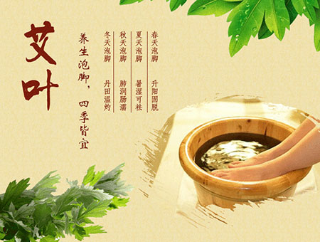 艾叶泡脚有什么好处的功效与作用